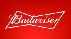 Anheuser Busch - Budweiser