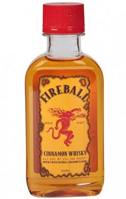 Dr. McGillicuddy's - Fireball Cinnamon Whiskey (200ml)